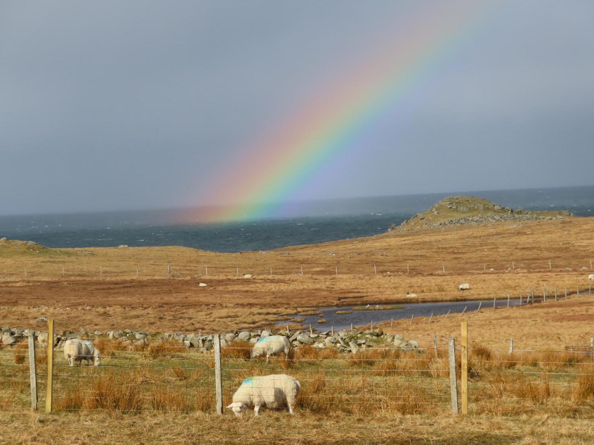 Villa Squealing Pig Bothy Barvas Esterno foto