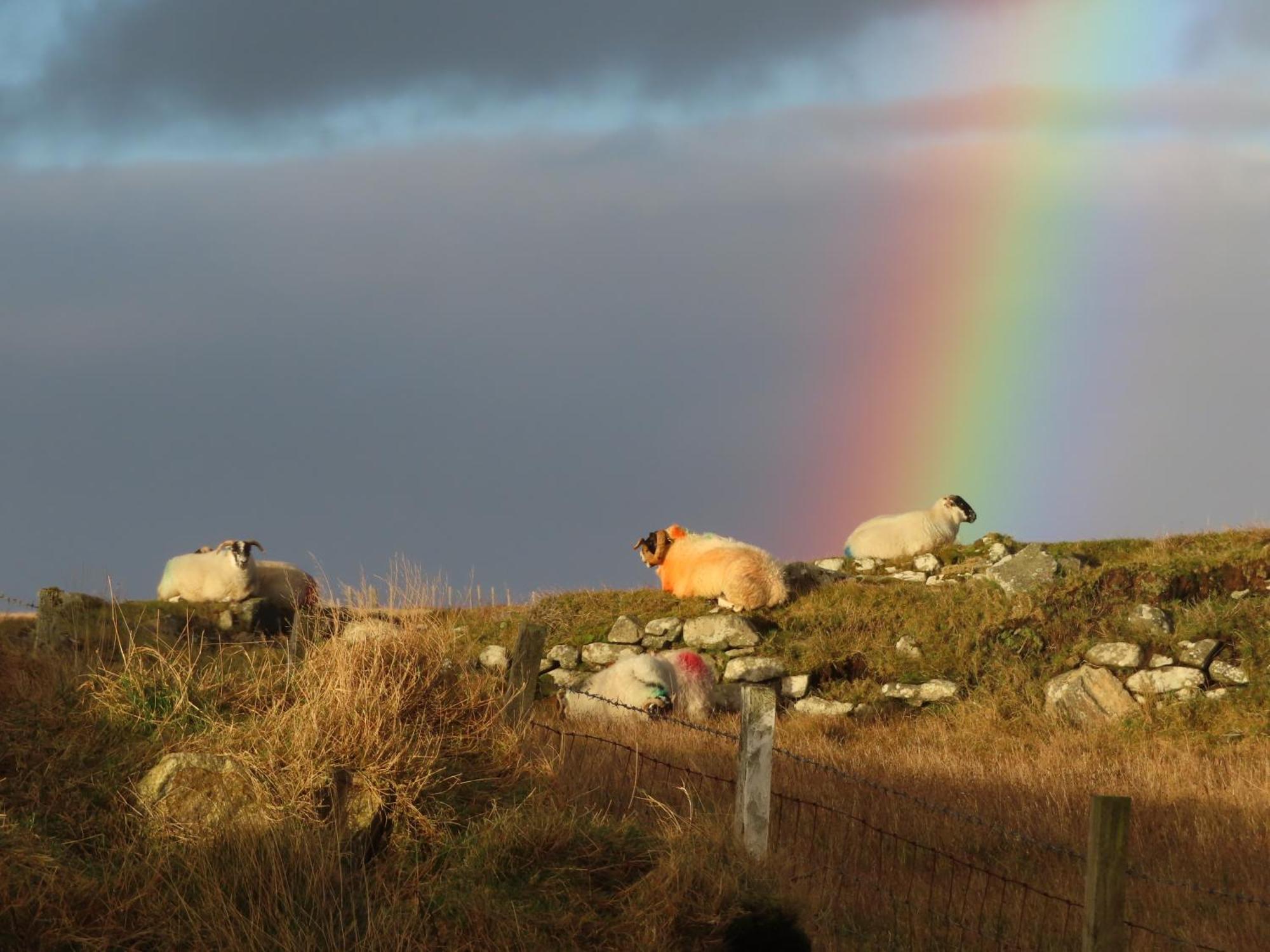 Villa Squealing Pig Bothy Barvas Esterno foto