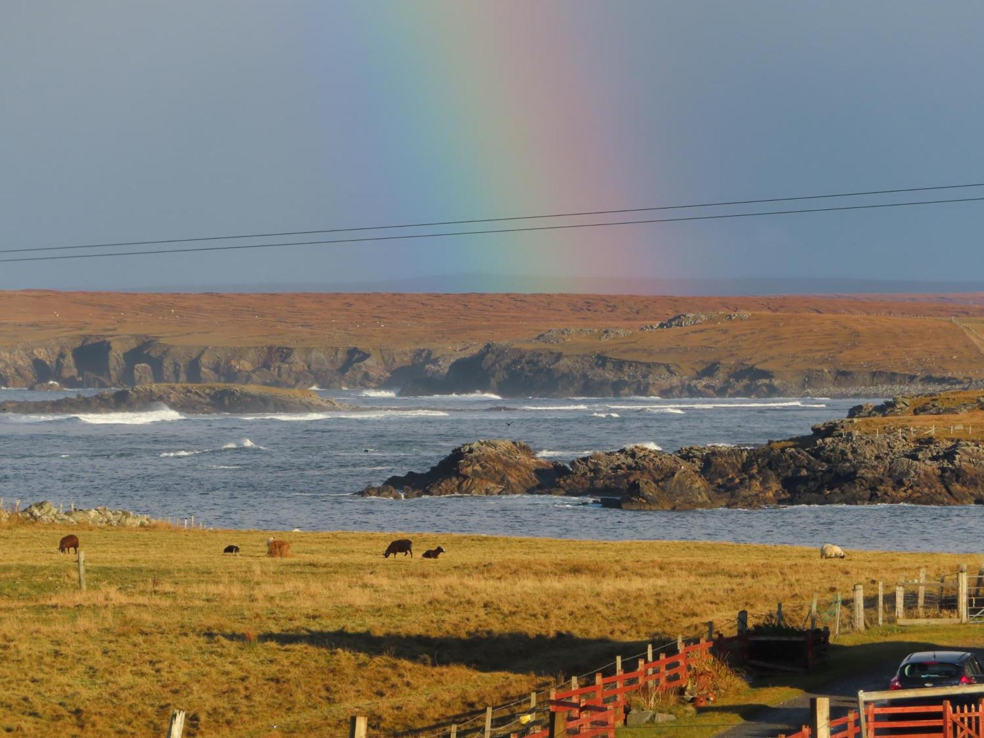 Villa Squealing Pig Bothy Barvas Esterno foto